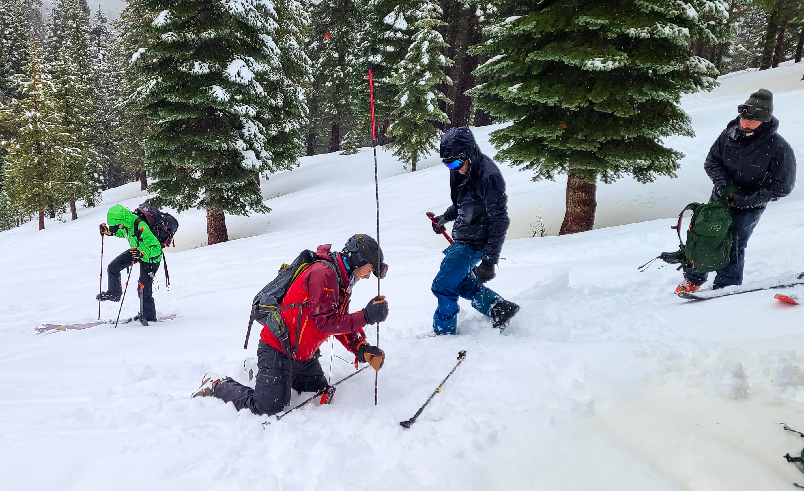 AIARE 1 Avalanche Course - For Climbers / Snowshoers - Image 4