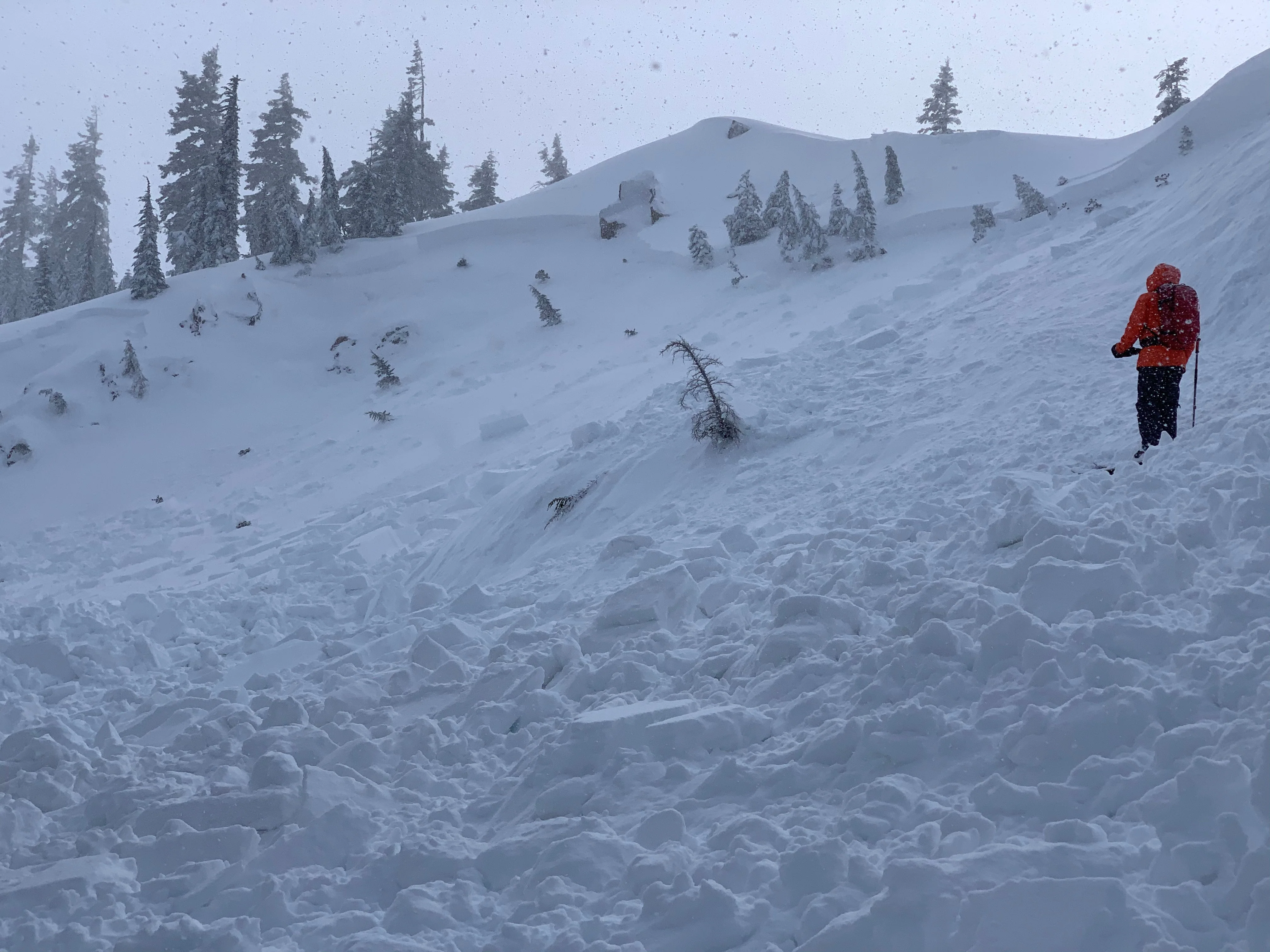AIARE 1 Avalanche Course - Oregon - Image 3