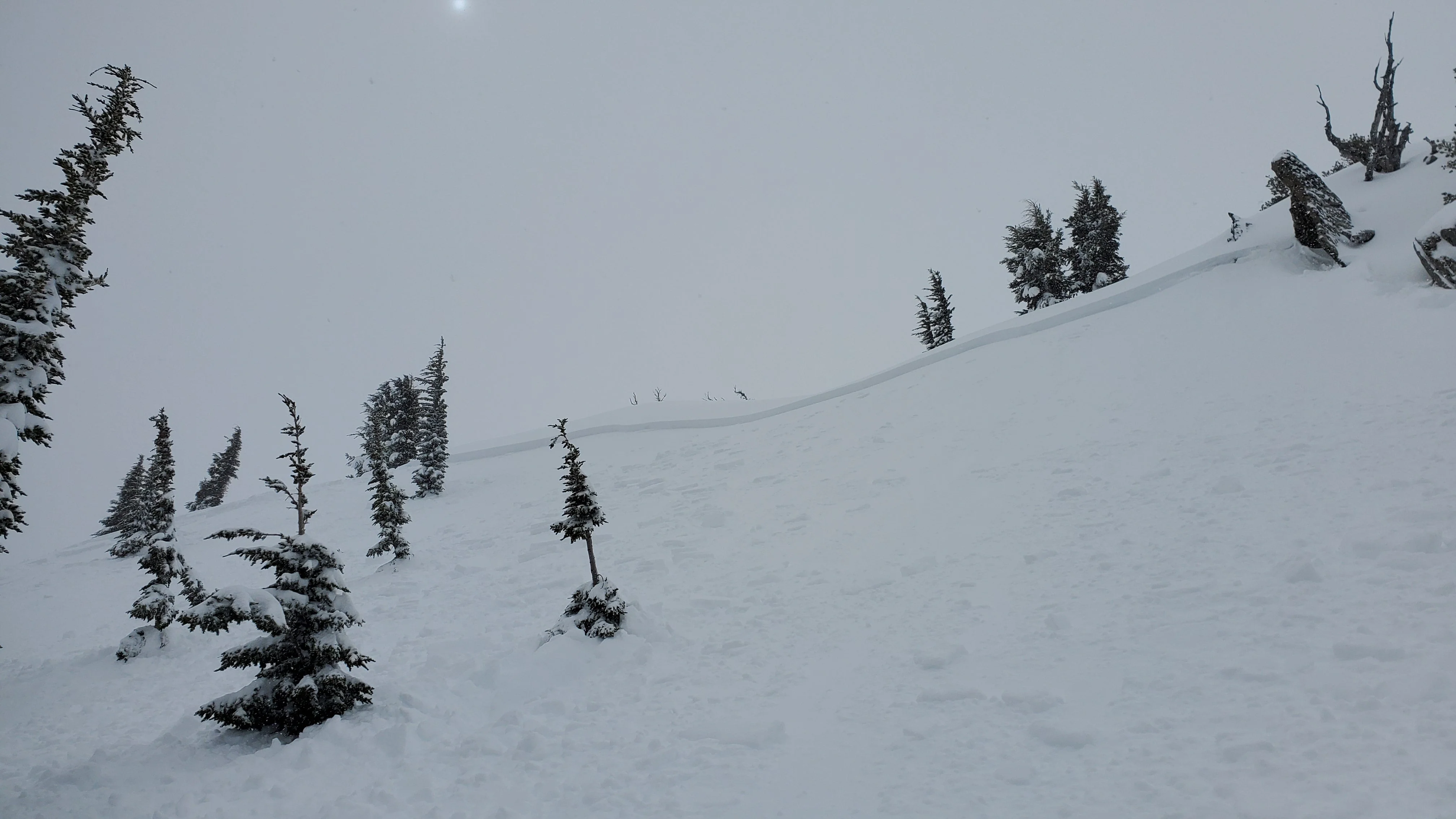 AIARE 1 + Rescue Avalanche Course - Mammoth - Image 4