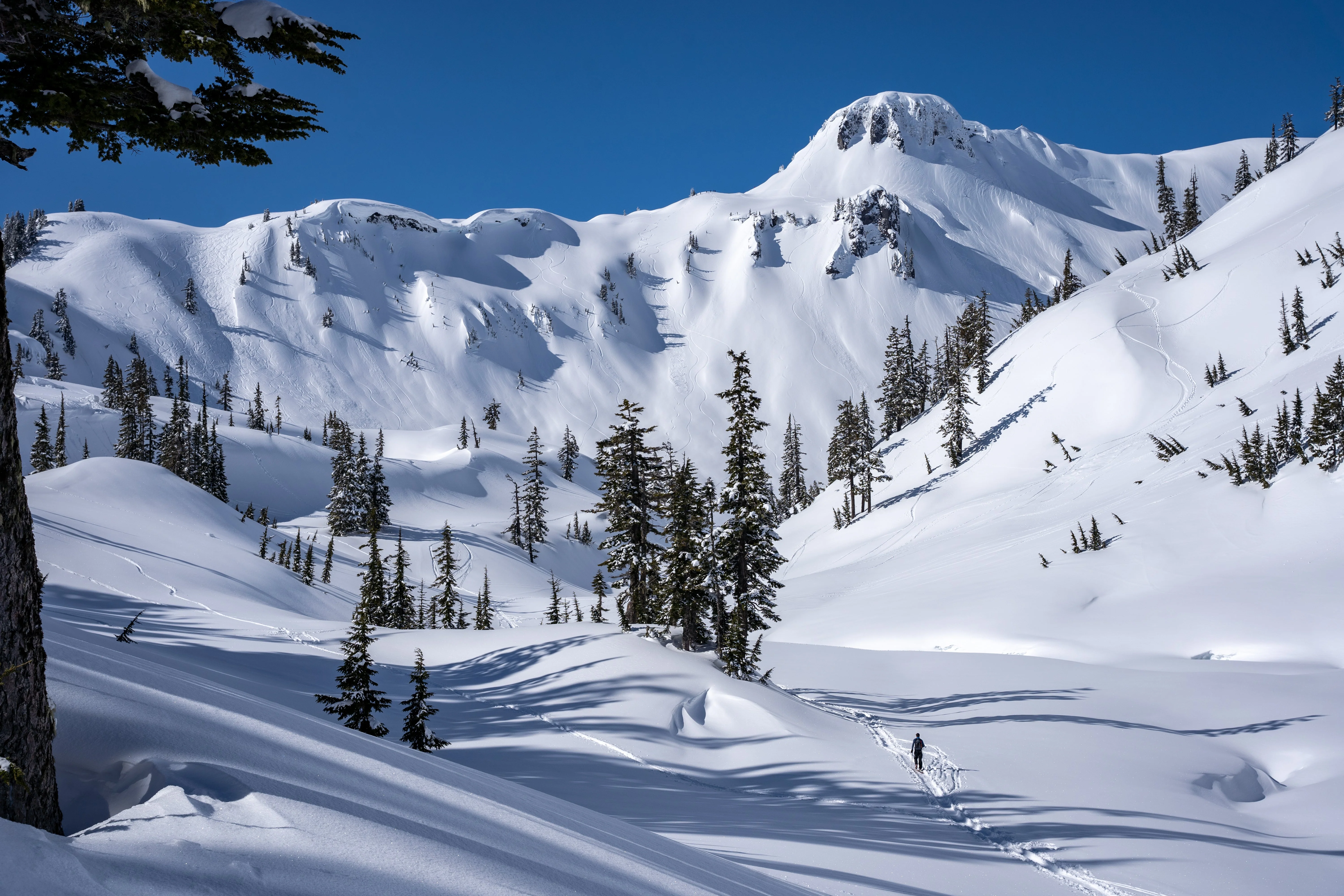 AIARE 1 + Rescue Avalanche Course - Washington - Image 4