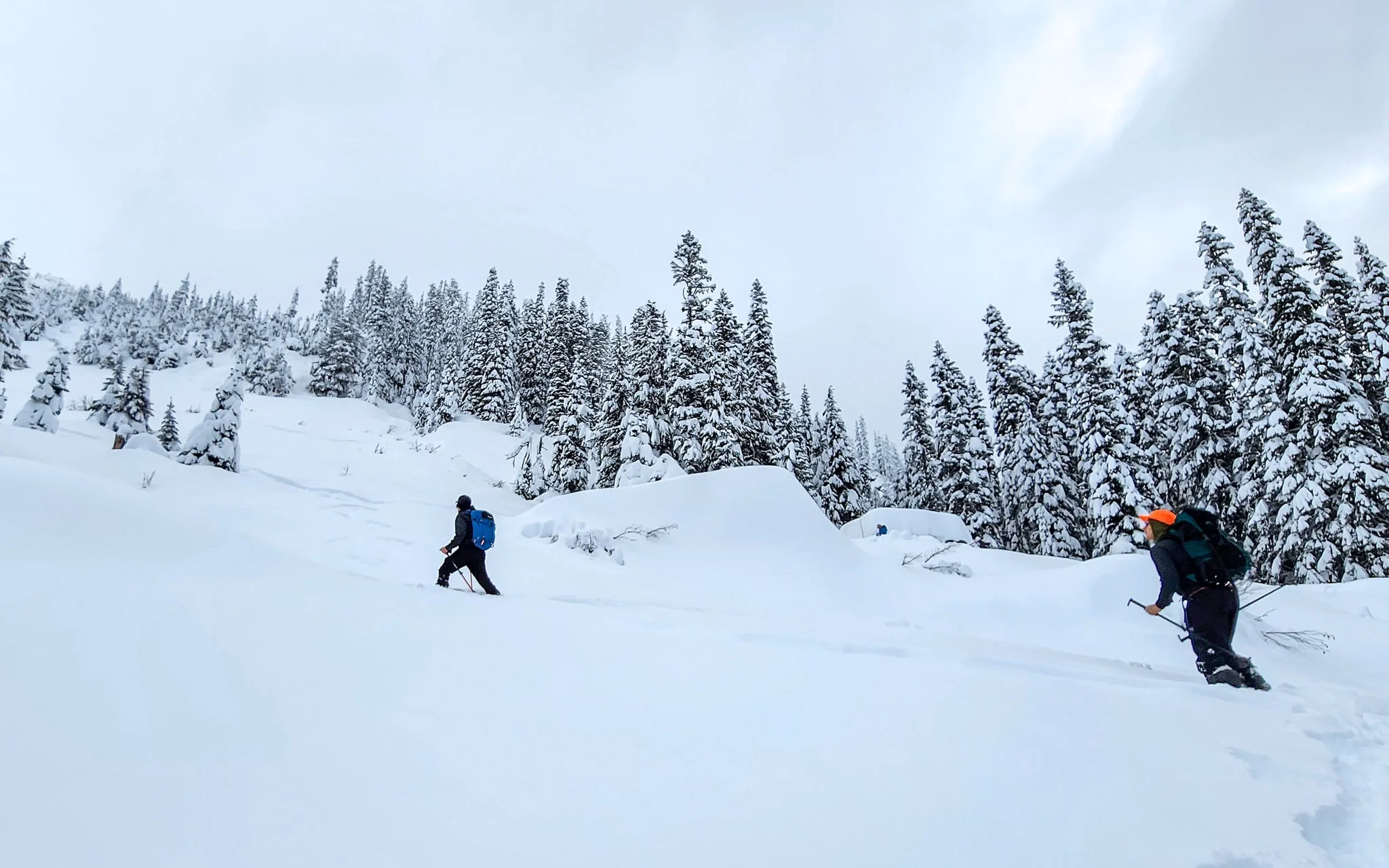 AIARE 1 + Rescue Avalanche Course - Washington - Image 7