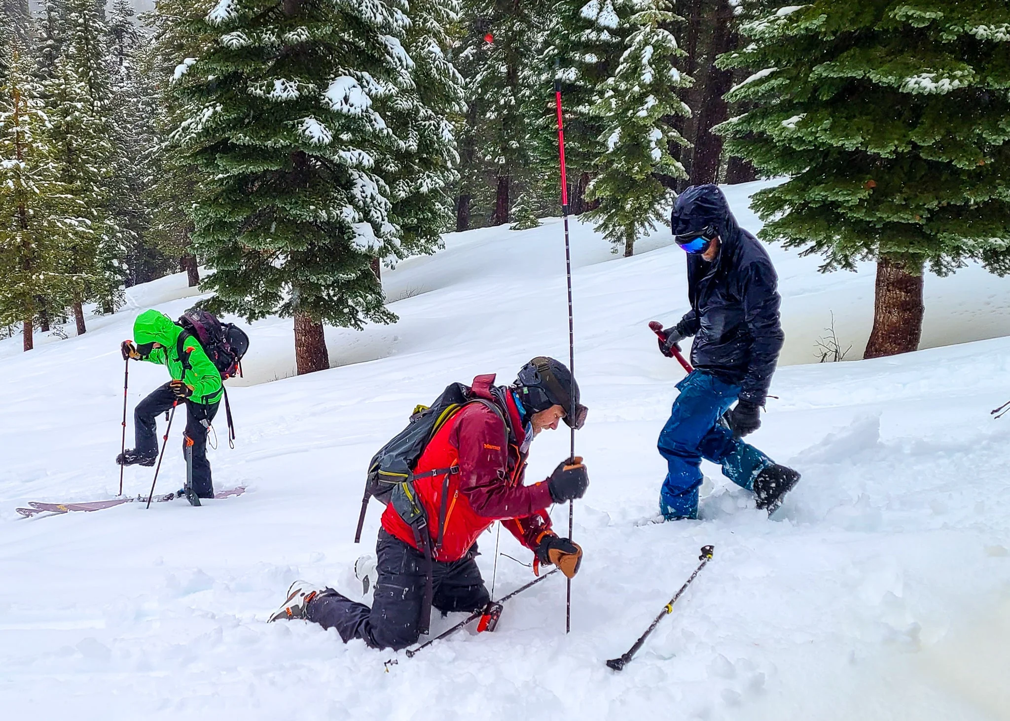 AIARE Avalanche Rescue Course in Mammoth - Image 3