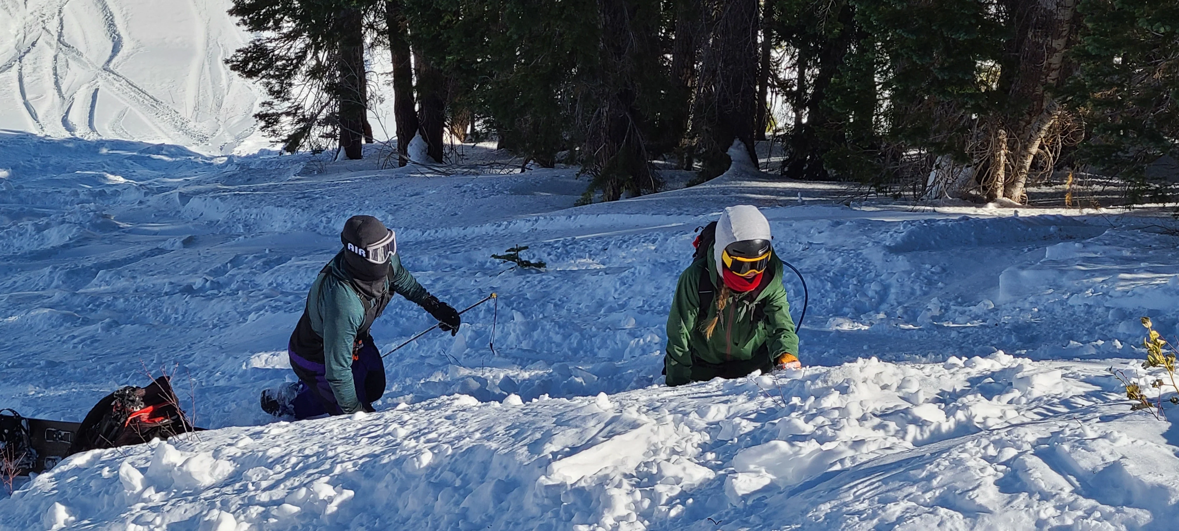 AIARE Avalanche Rescue Course in Mammoth - Image 5