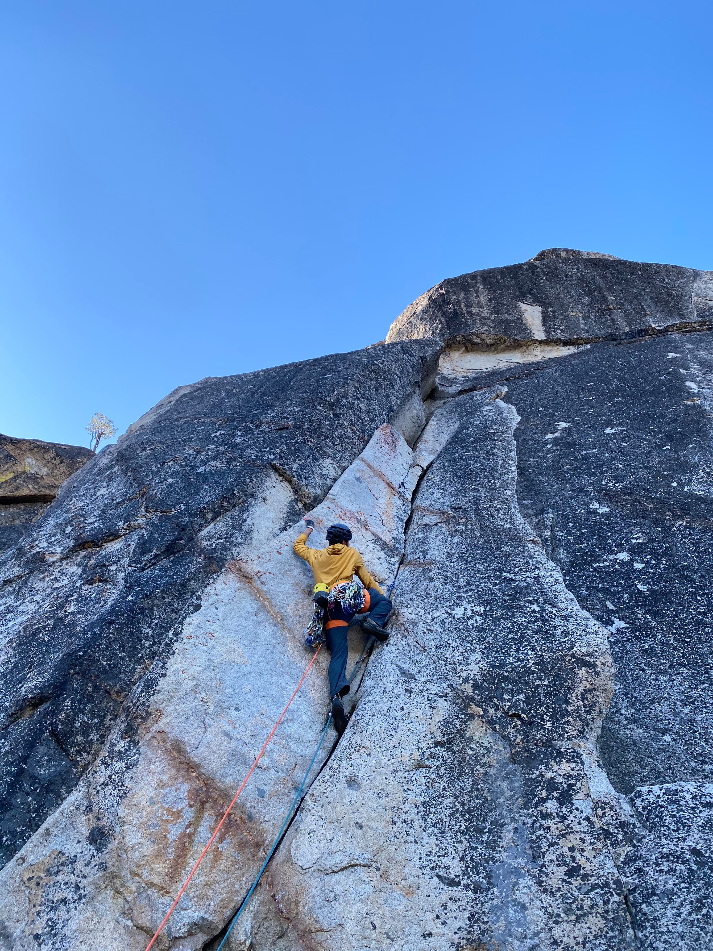 Group Rock Climbing in Tahoe - Image 7