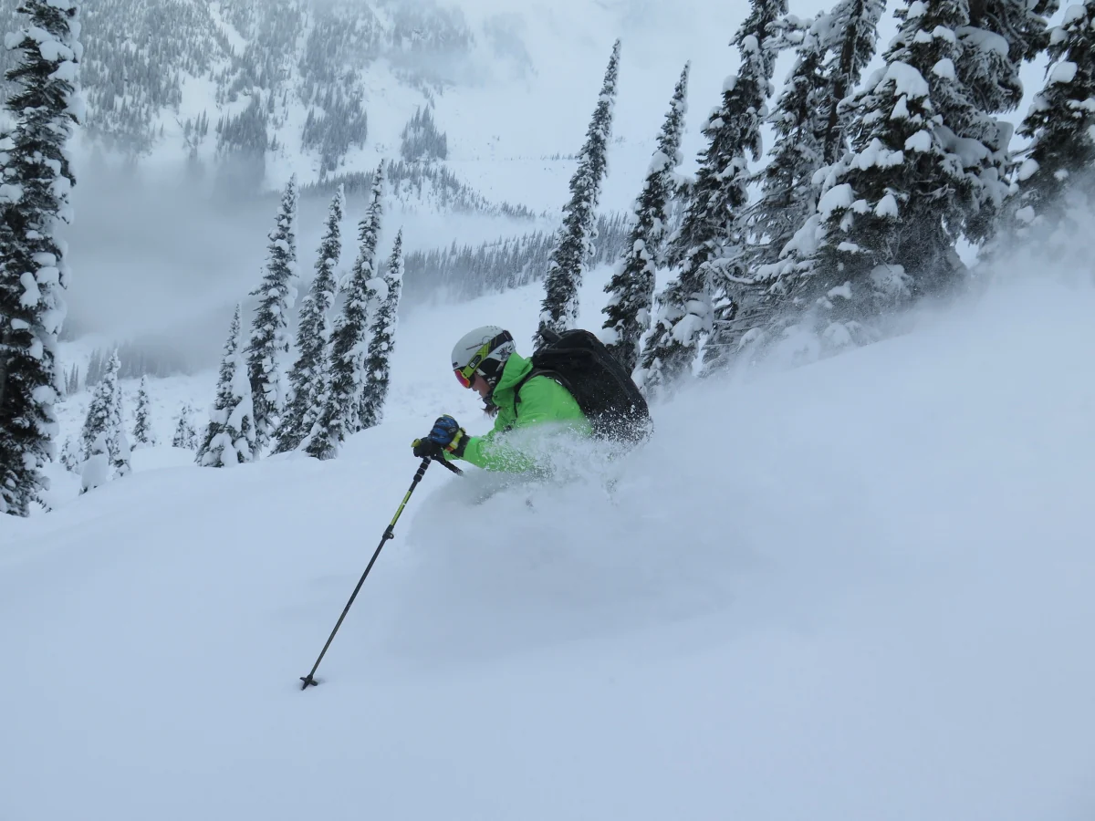 Icefall Lodge BC - Image 12