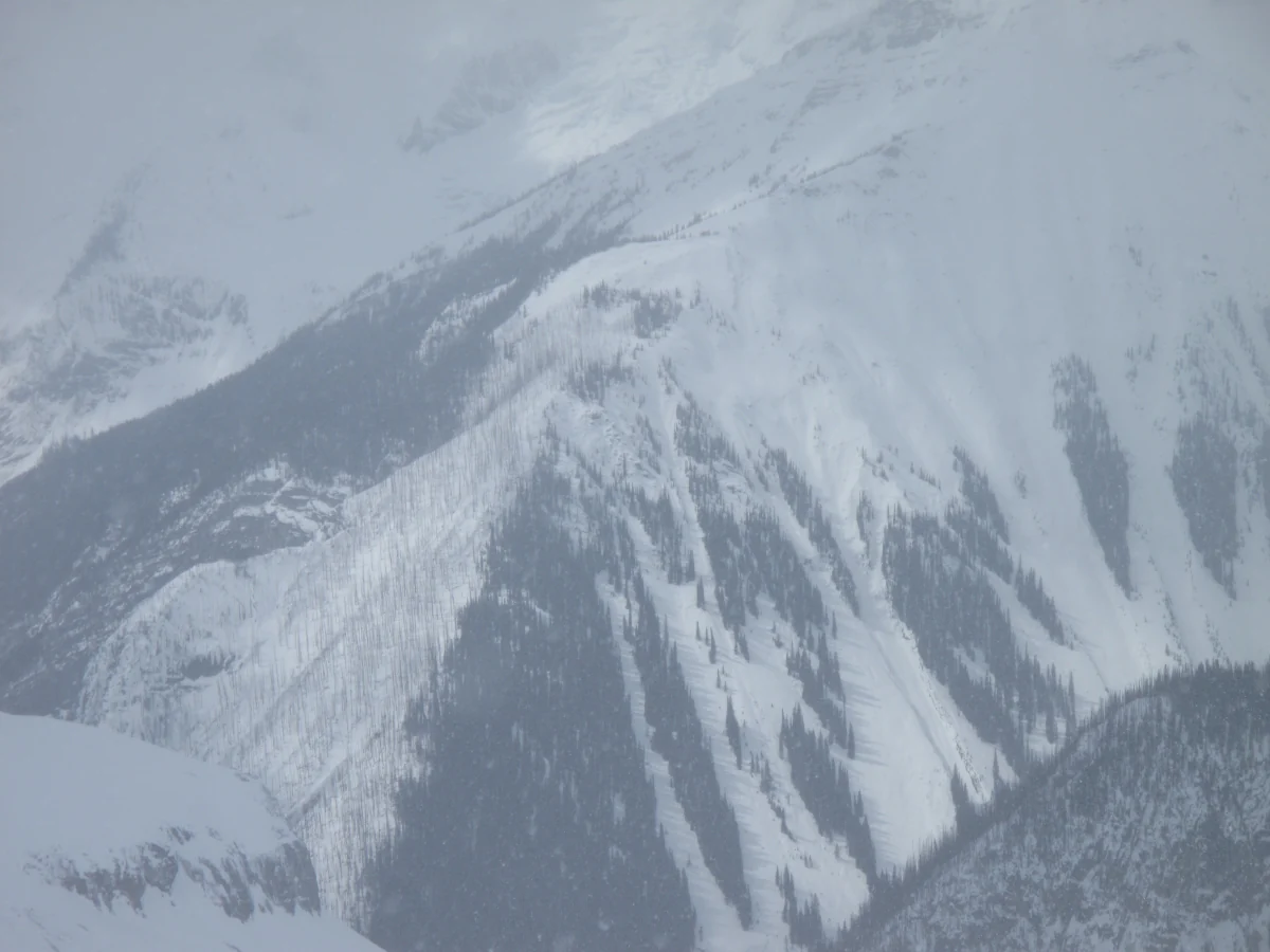 Icefall Lodge BC - Image 13