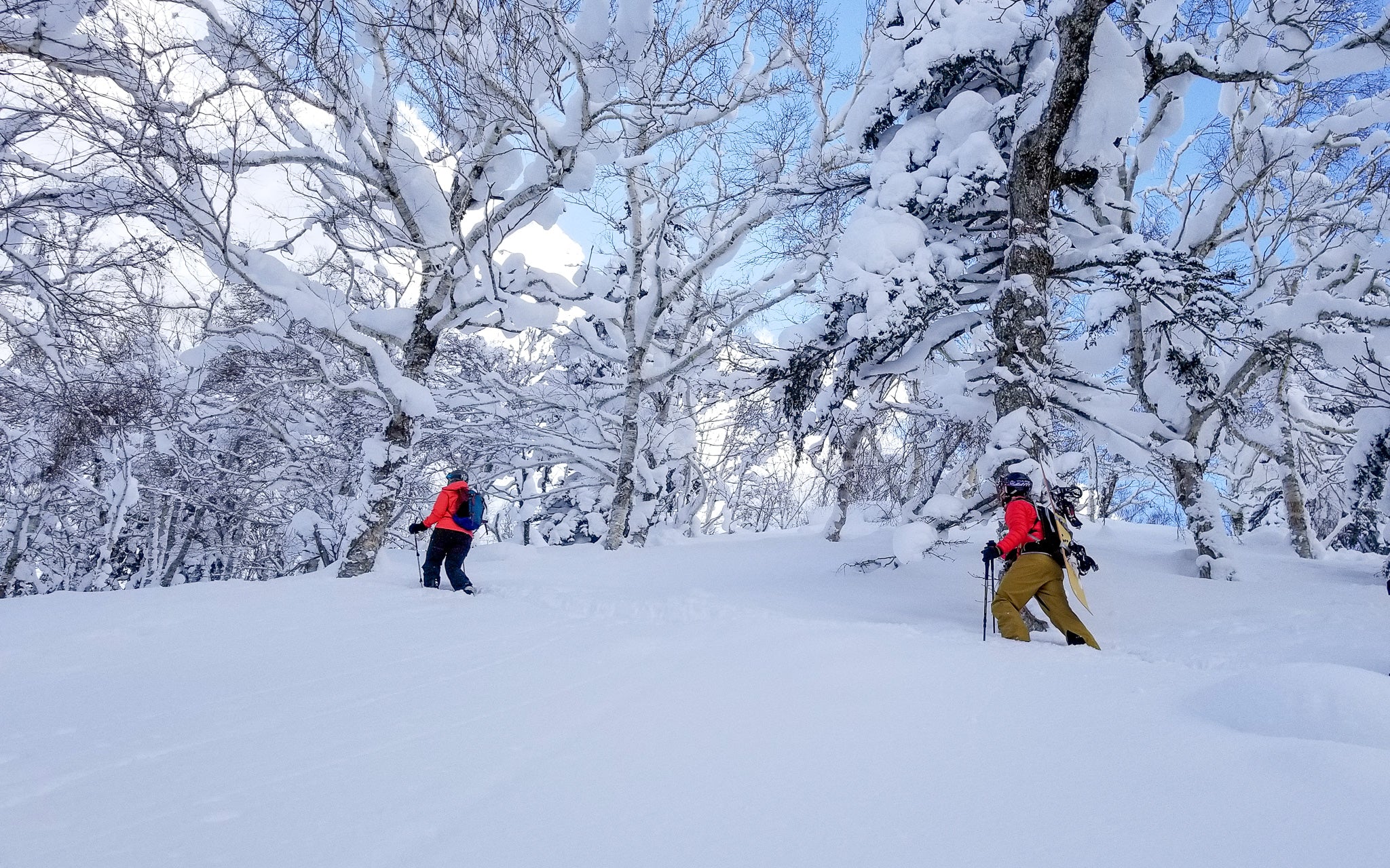 Japan - Hokkaido Backcountry Skiing Adventure - Image 5