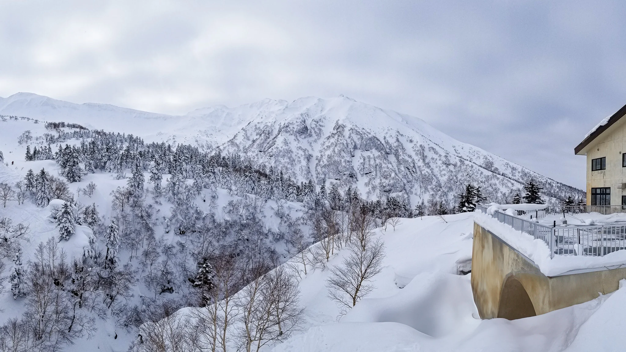 Japan - Hokkaido Backcountry Skiing Adventure - Image 6