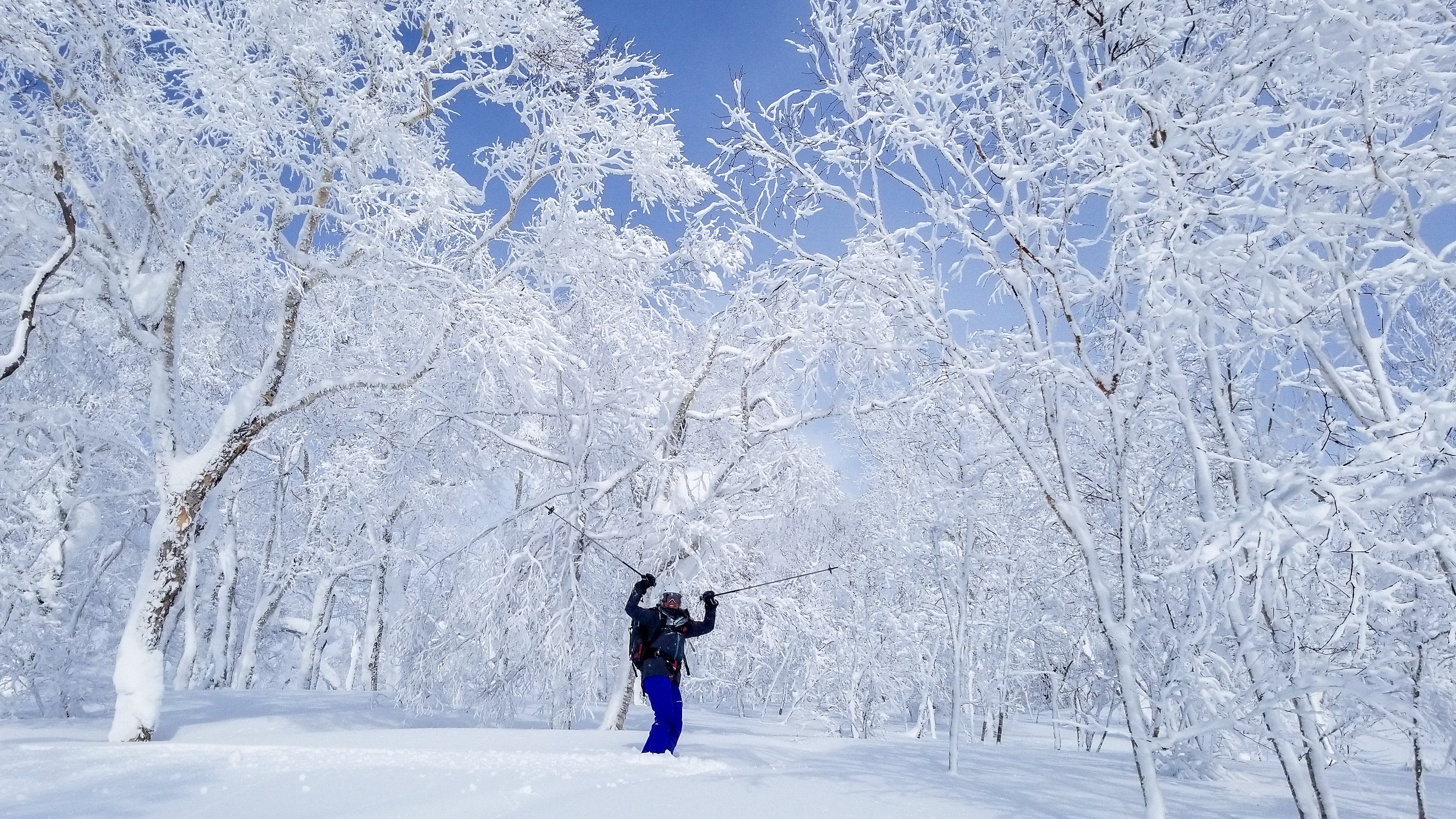 Japan - Hokkaido Backcountry Skiing Adventure - Image 9