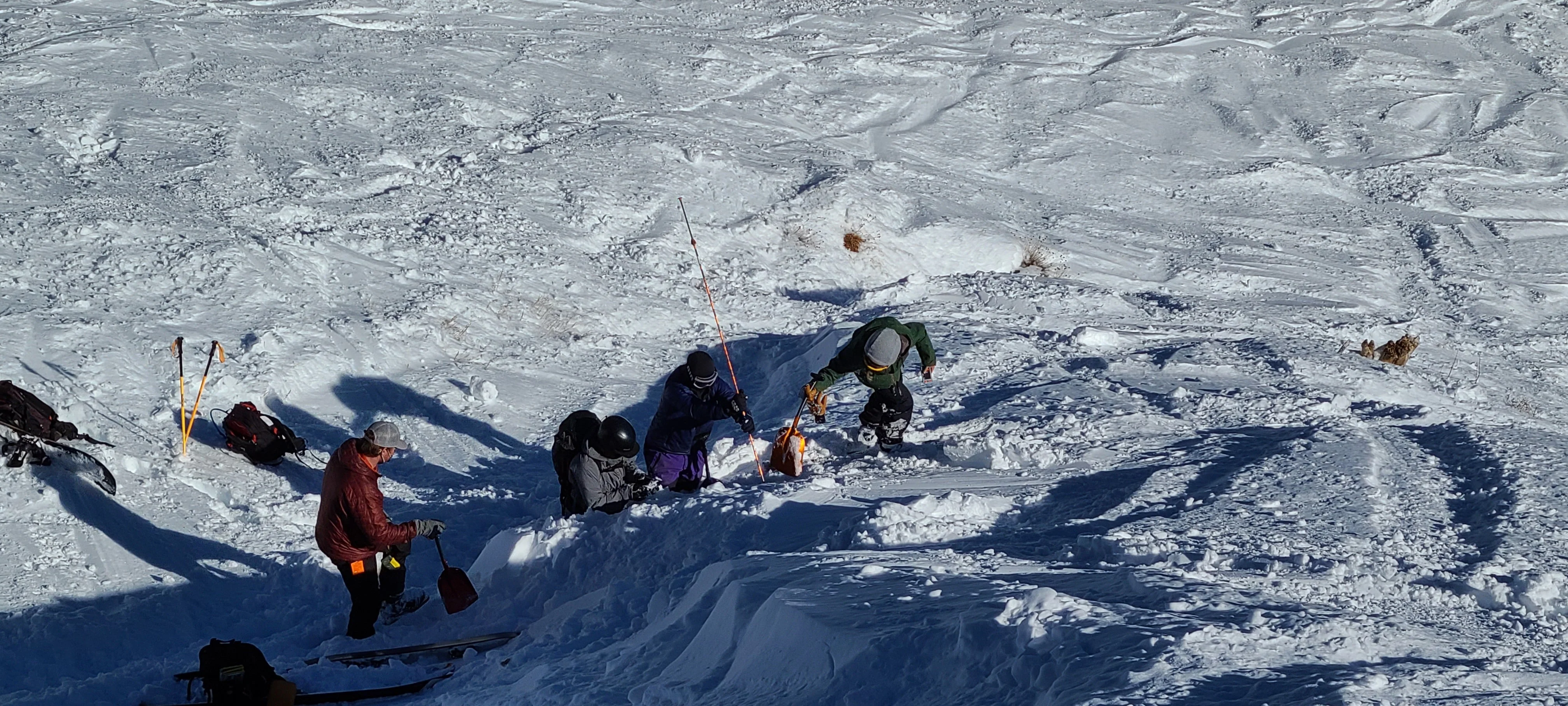 Lift-Accessed AIARE Avalanche Rescue Course - Tahoe - Image 5