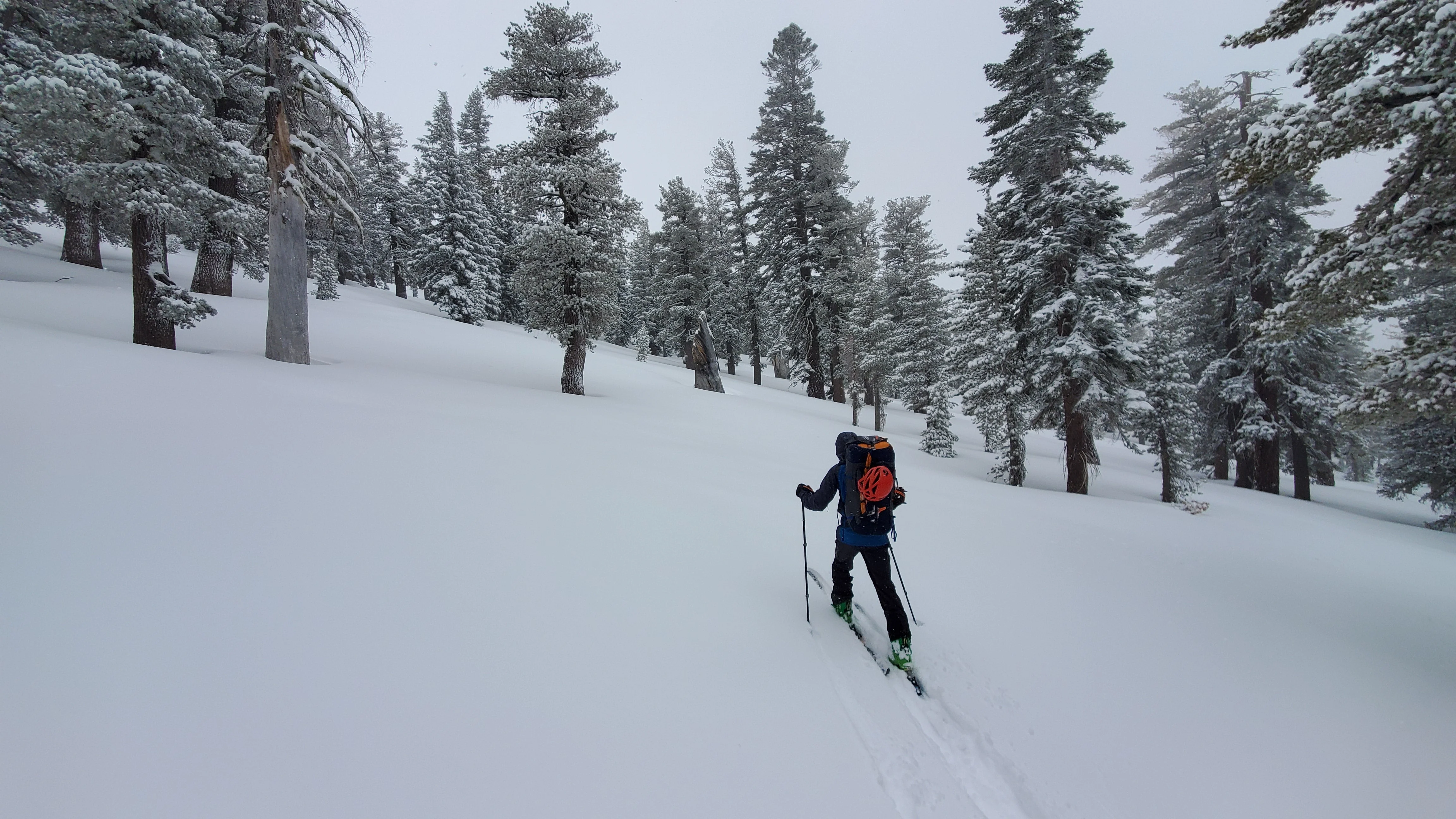 Tahoe Backcountry Skiing & Splitboarding - Image 4