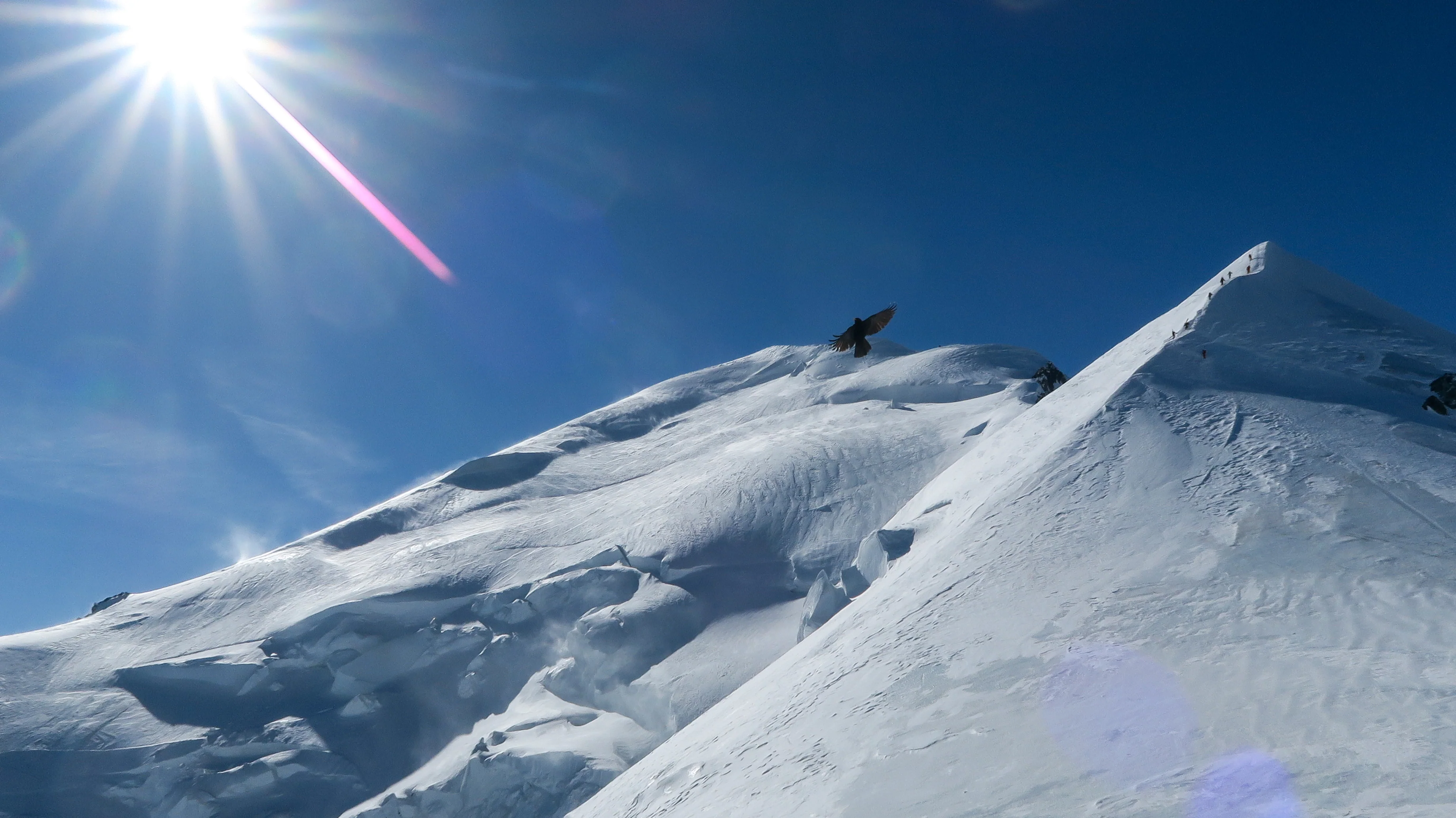 Mont Blanc Summit Climb - Image 10