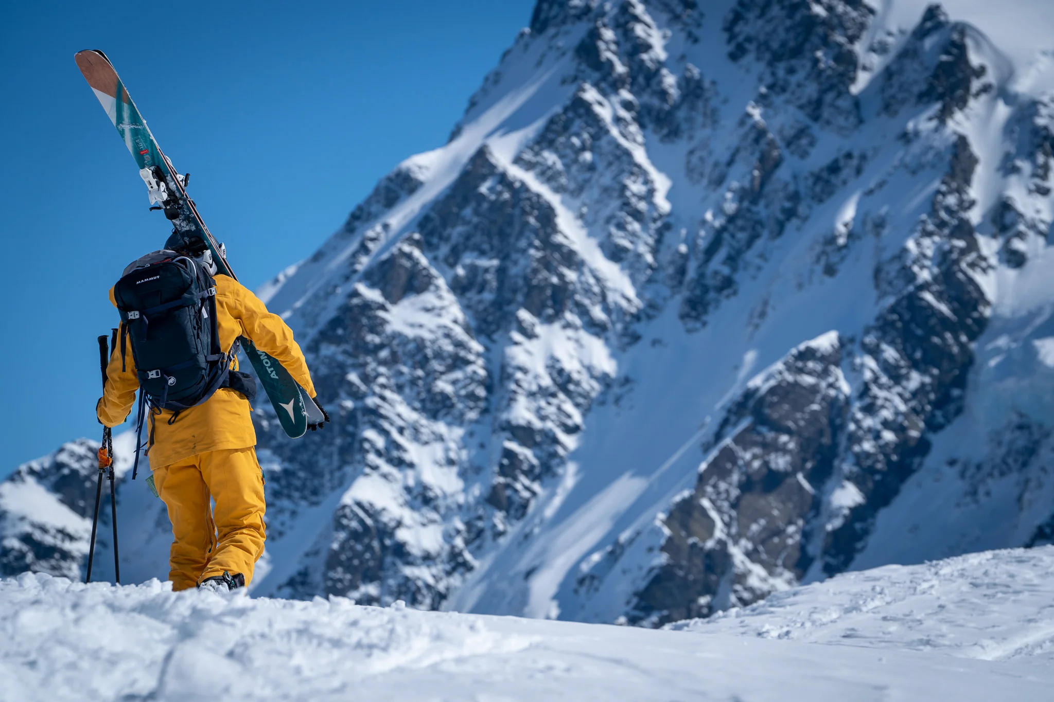 Ski & Splitboard