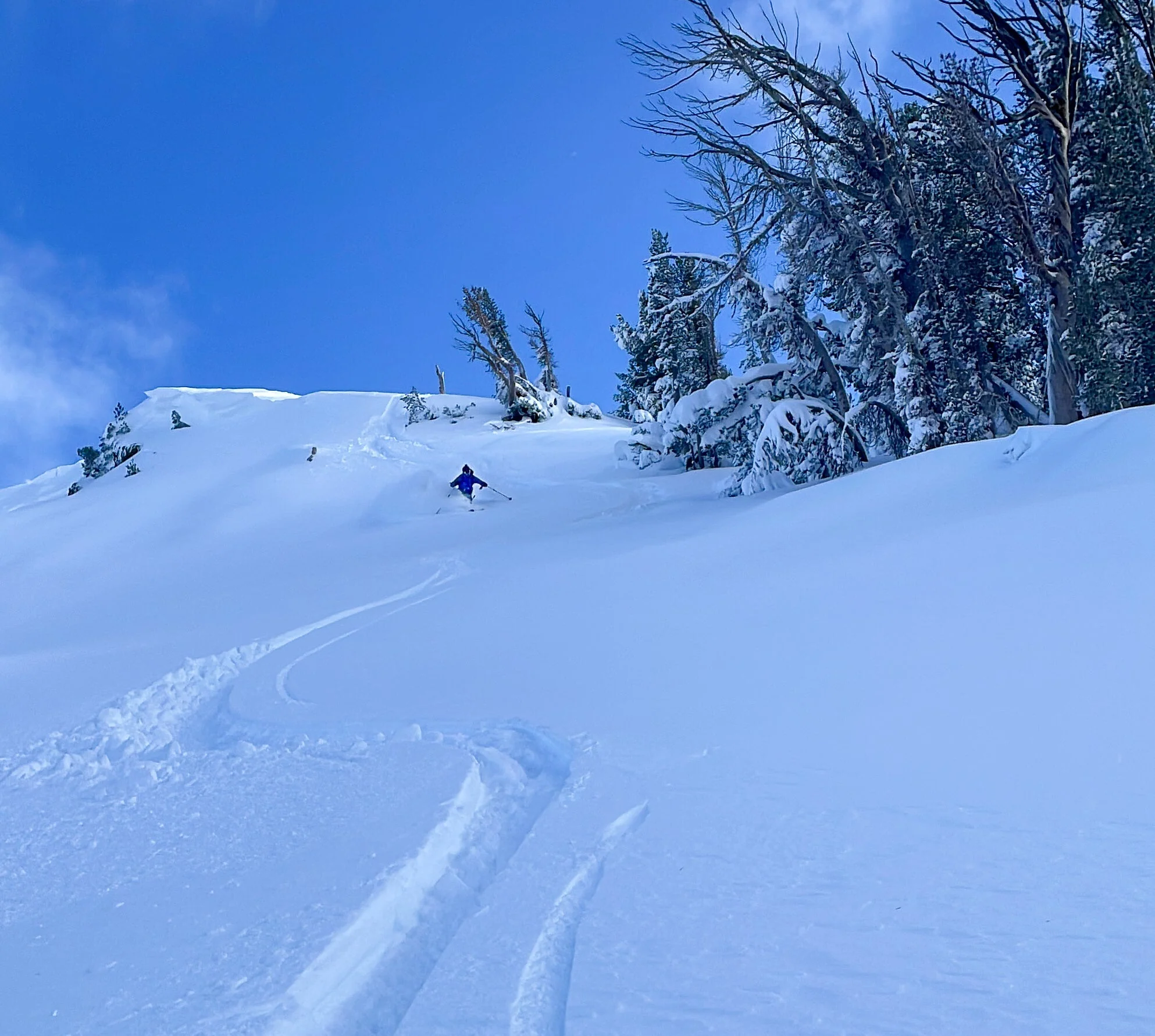 Mt Rose Backcountry Skiing & Splitboarding - Image 5