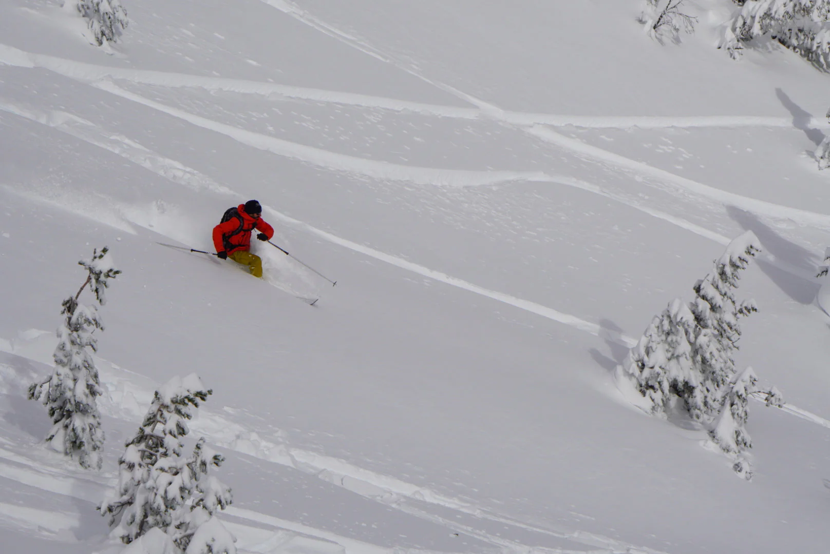 Mt Rose Backcountry Skiing & Splitboarding - Image 7