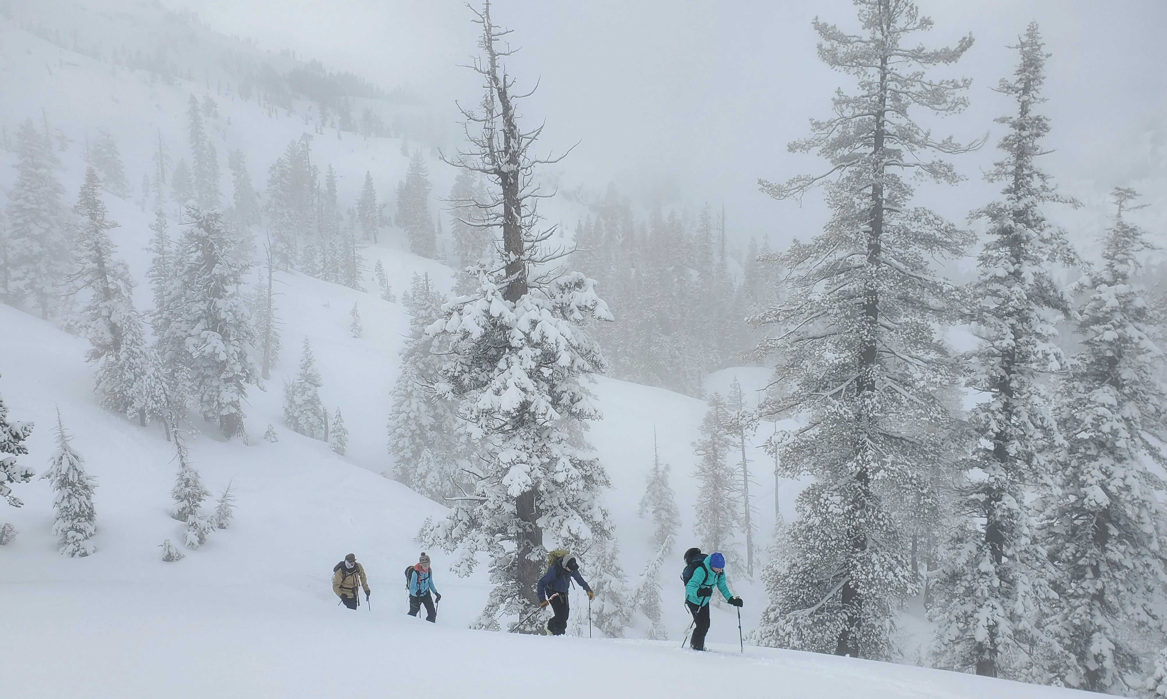 Backcountry Skiing Tahoe - Private - Image 4