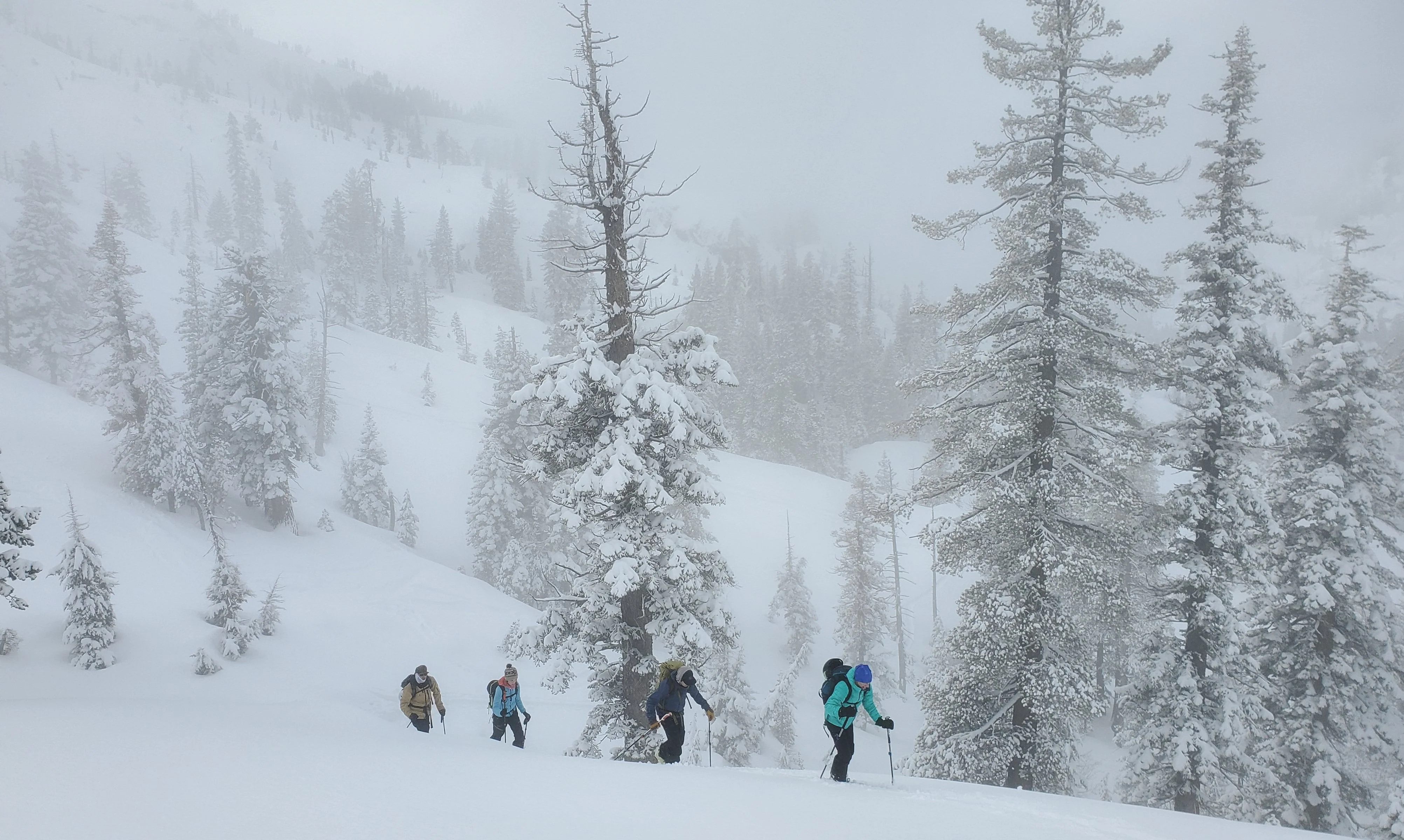 Backcountry Skiing Washington - Private - Image 5