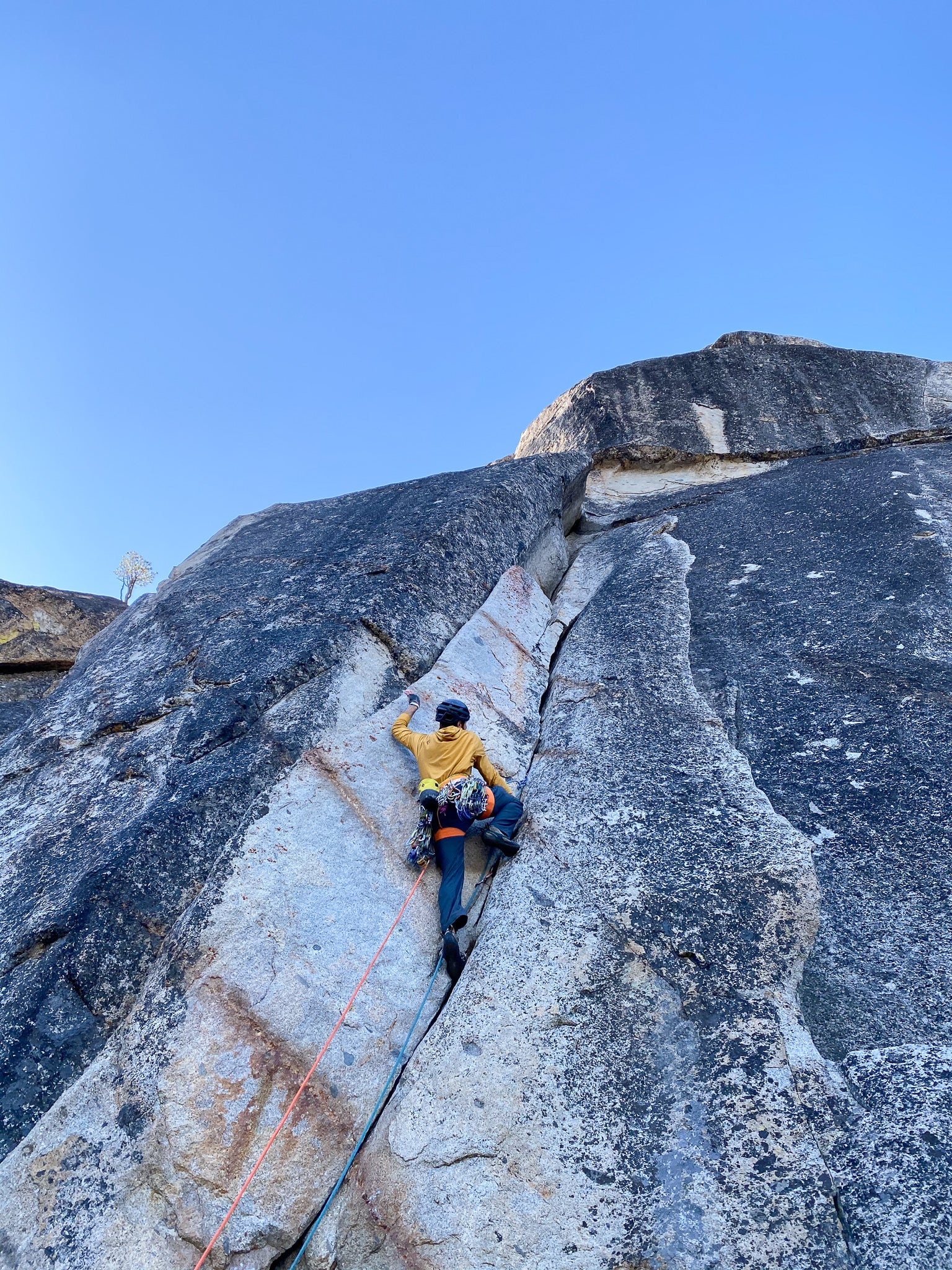 Rock Climbing Courses in Tahoe - Image 10