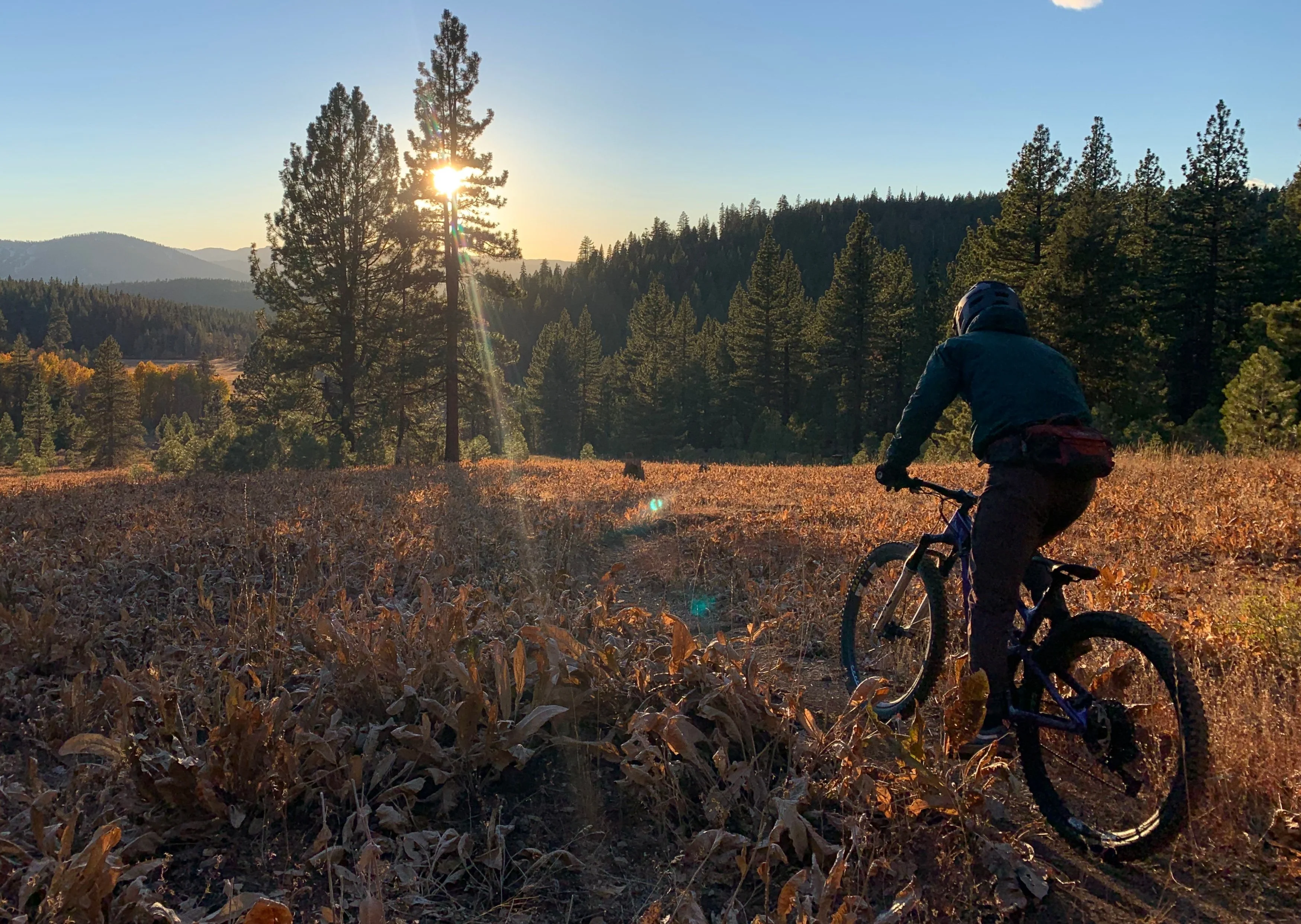 Truckee Tahoe Mountain Biking - Image 5