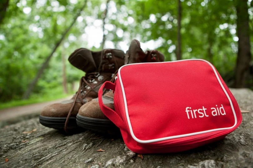 Wilderness First Responder (WFR) - Image 8